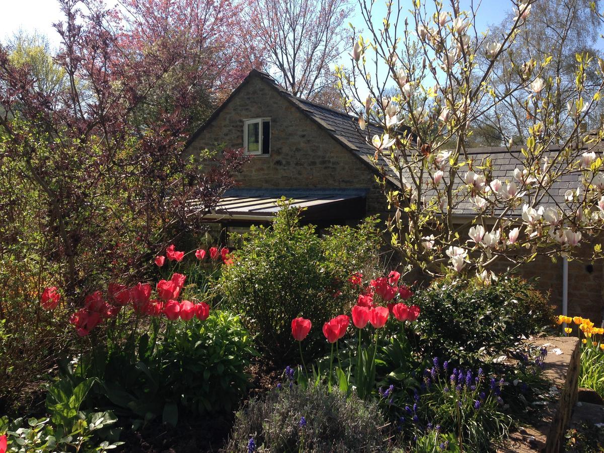 Bagnell Cottage Chiselborough Extérieur photo