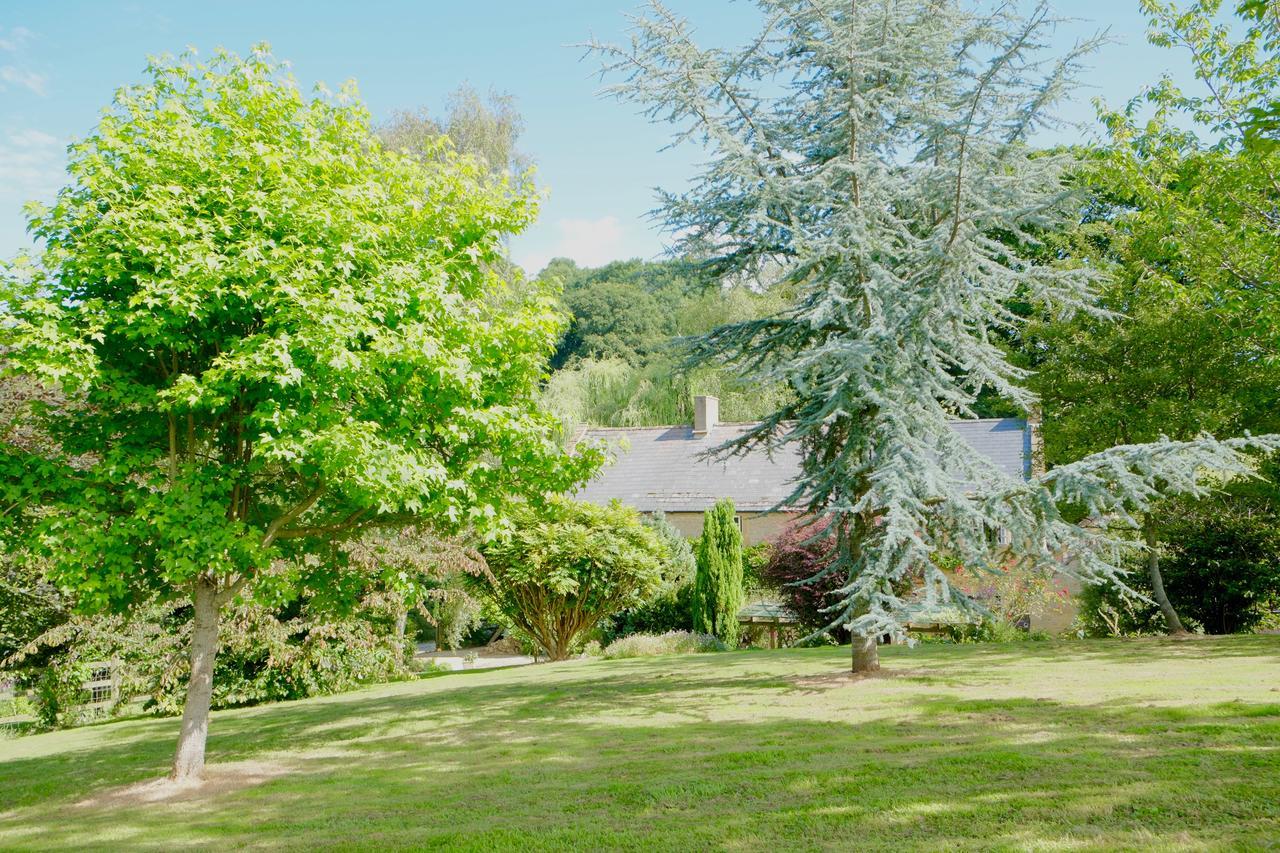 Bagnell Cottage Chiselborough Extérieur photo