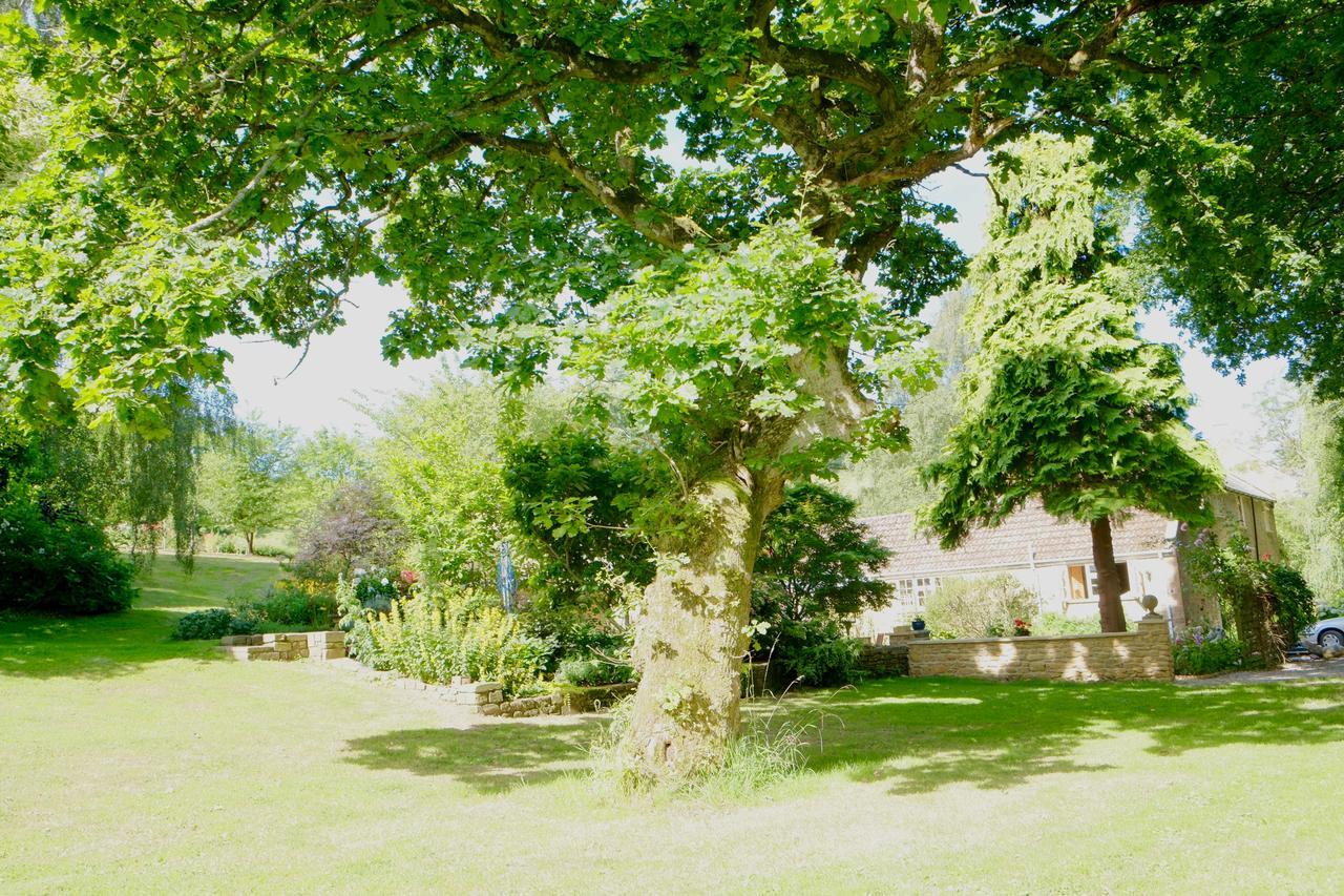 Bagnell Cottage Chiselborough Extérieur photo